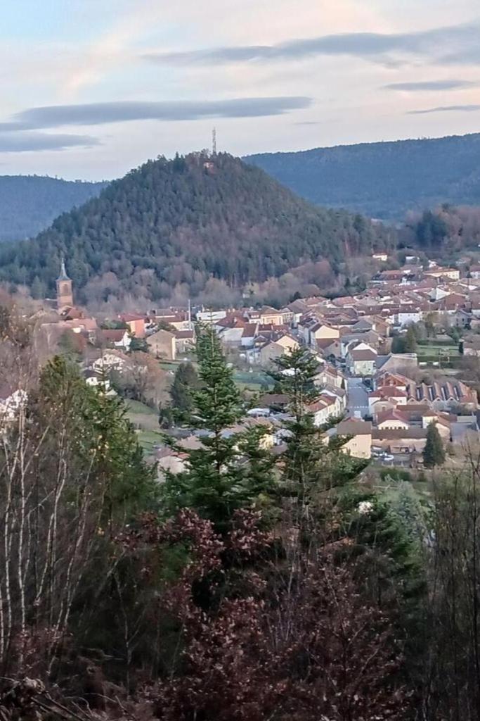 Apartment Gite, Au Calme, Avec Vue Imprenable Sur La Nature Environnante Deycimont