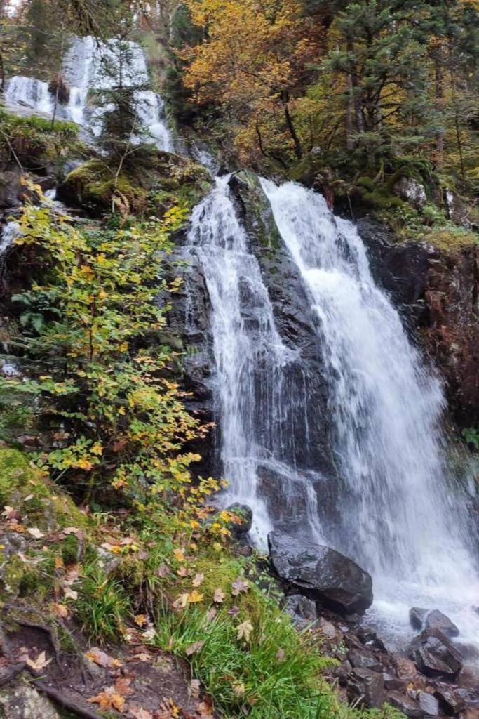 Gite, Au Calme, Avec Vue Imprenable Sur La Nature Environnante * Deycimont
